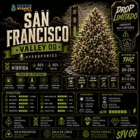 Dr. Nugget San Francisco Valley OG THC Flor