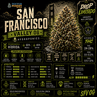 Dr. Nugget San Francisco Valley OG THC Flor