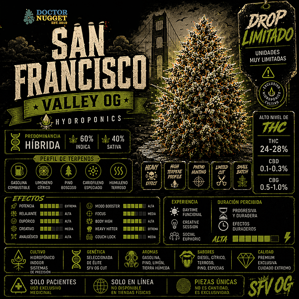 Dr. Nugget San Francisco Valley OG THC Flor