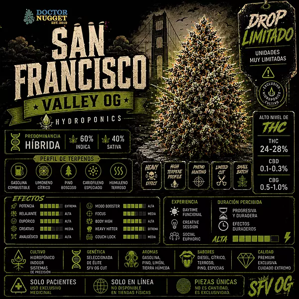 Dr. Nugget San Francisco Valley OG THC Flor