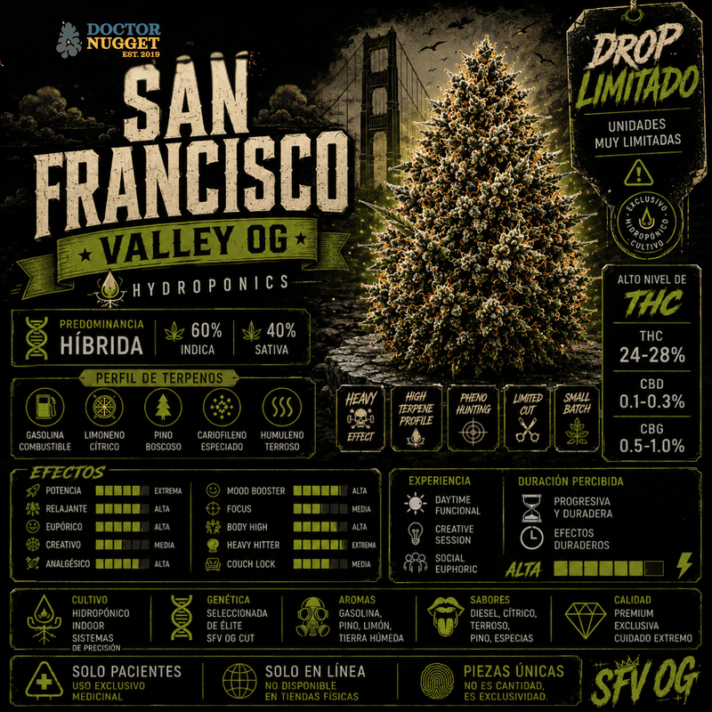 Dr. Nugget San Francisco Valley OG THC Flor