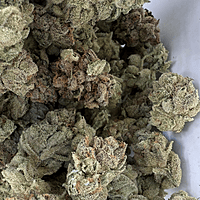 San Francisco Valley OG Hydroponics