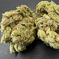 San Francisco Valley OG Hydroponics