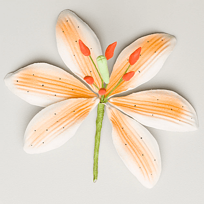 Stargazer Lily 3.5" Stargazer Lily 3.5"