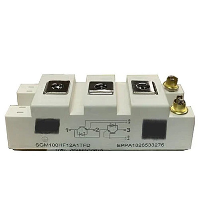 IGBT SGM100HF12A1TFD