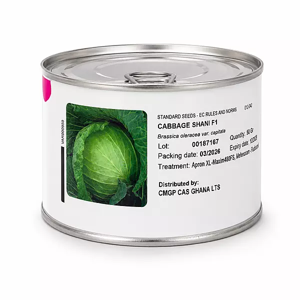 Cabbage Shani F1