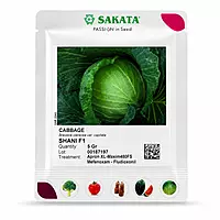 Cabbage Shani F1