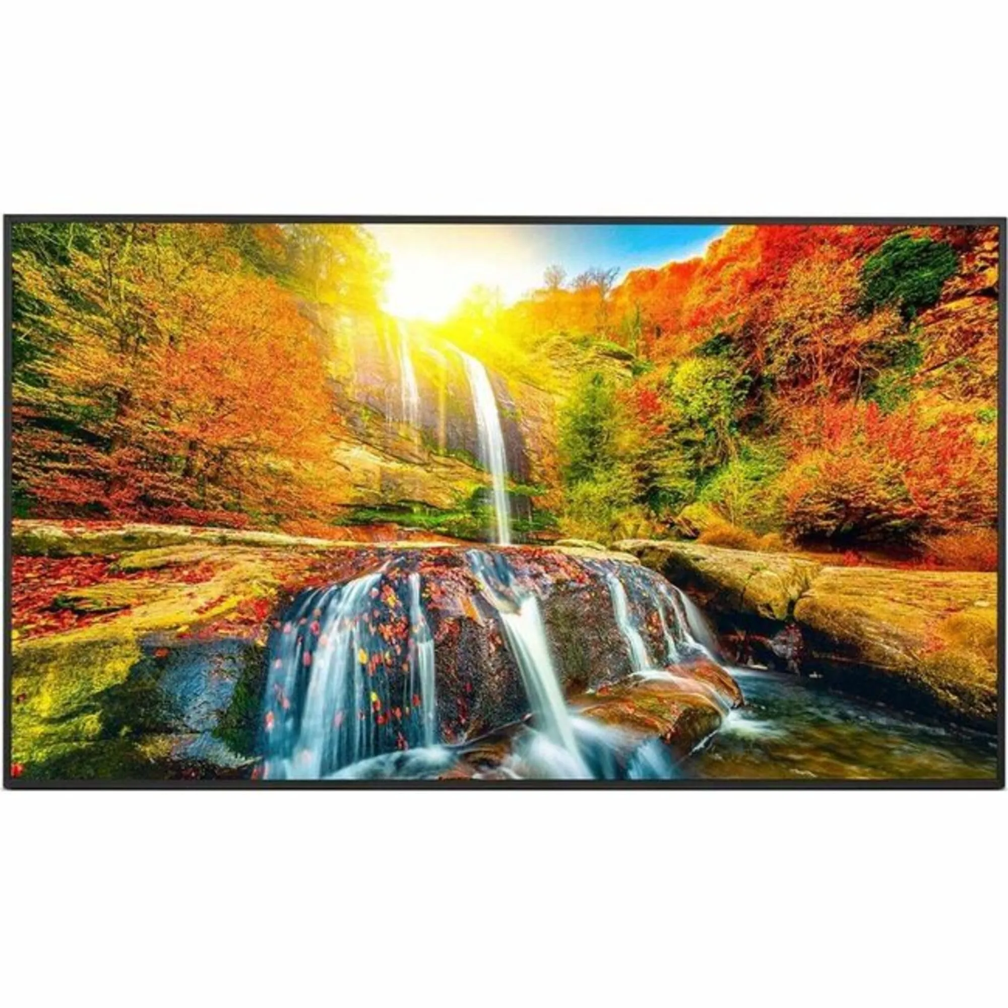 Sharp 55IN LED LCD UHD 4K Commercial Display PN-ME552