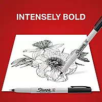 Sharpie 37161PP Permanent Markers, Ultra Fine Point, Black, 2 Count