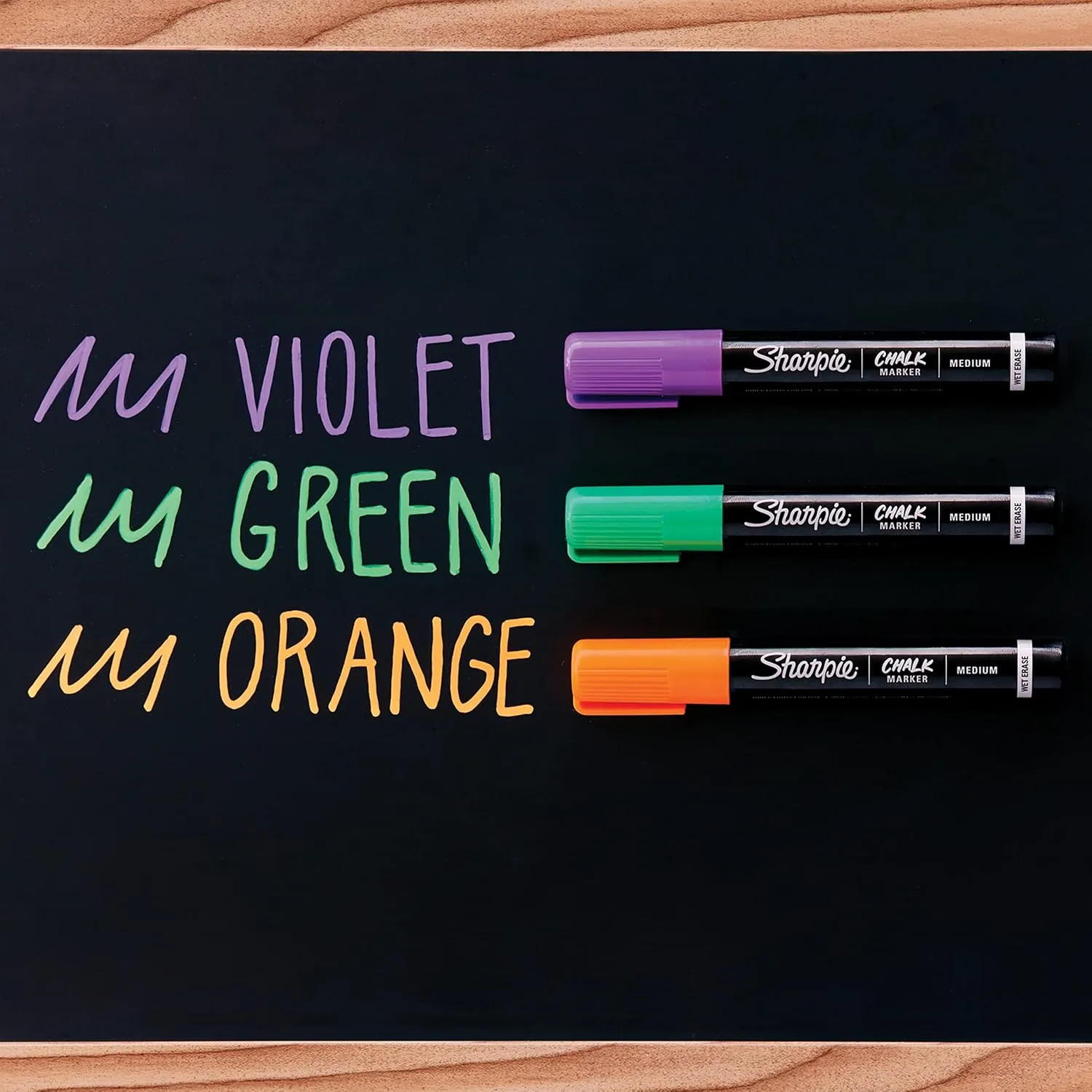 SHARPIE Wet-Erase Chalk Markers, Medium Point, Assorted Colors
