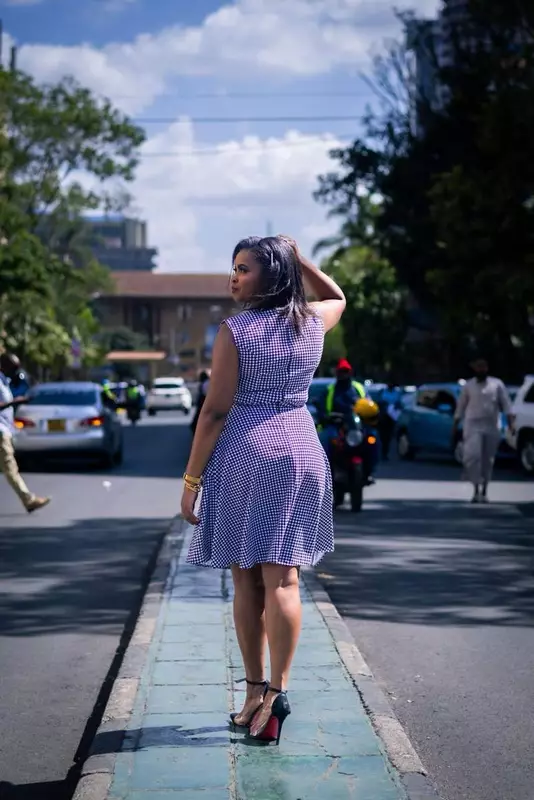 Silk House Collection Curvy Plus Size Brielle Dress - Houndstooth