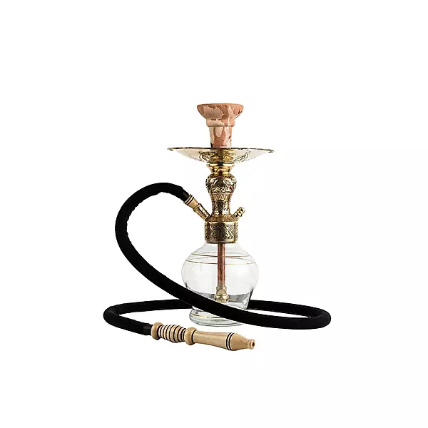 Arya Mini Hookah