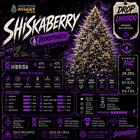 Dr. Nugget Shiskaberry THC Flor