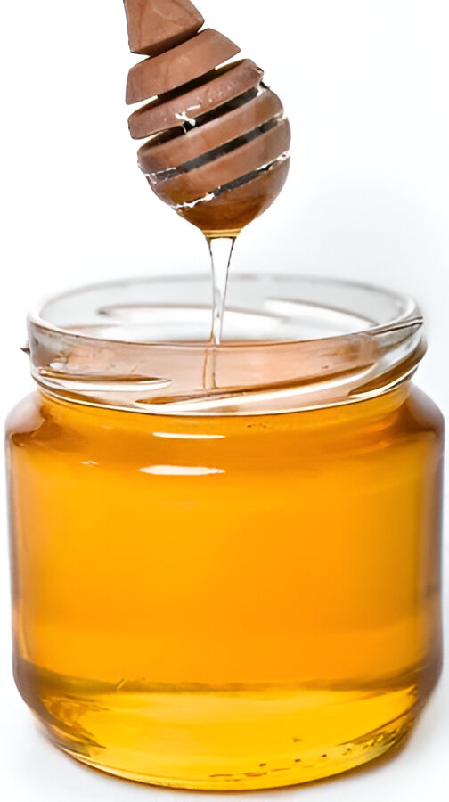 Honey from kodaikanal "Tasty Shopper" Hill Honey, 1 kg, Pure and natural ghats honey - Wild Forest Organic Hill Honey, Kodaikanal "Tasty Shopper" Honey from kodaikanal "Tasty Shopper" Hill Honey, 1 kg, Pure and natural ghats honey - Wild Forest Organic Hill Honey, Kodaikanal "Tasty Shopper"