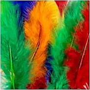 DBDALBAPF15 - MIXED FEATHERS 15CM 20/BAG DALA