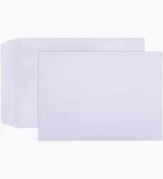 ENV: 01-2338-05-1 - C4 WHITE ENV SELF SEAL EACH