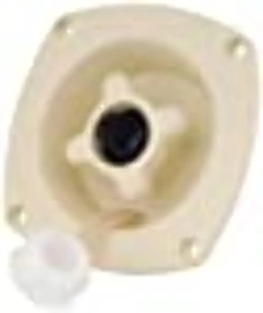 Shurflo by Pentair Pressure Reducing City Water Entry - Wall Mount - Chrome
