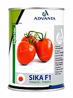 TOMATO SIKA F1