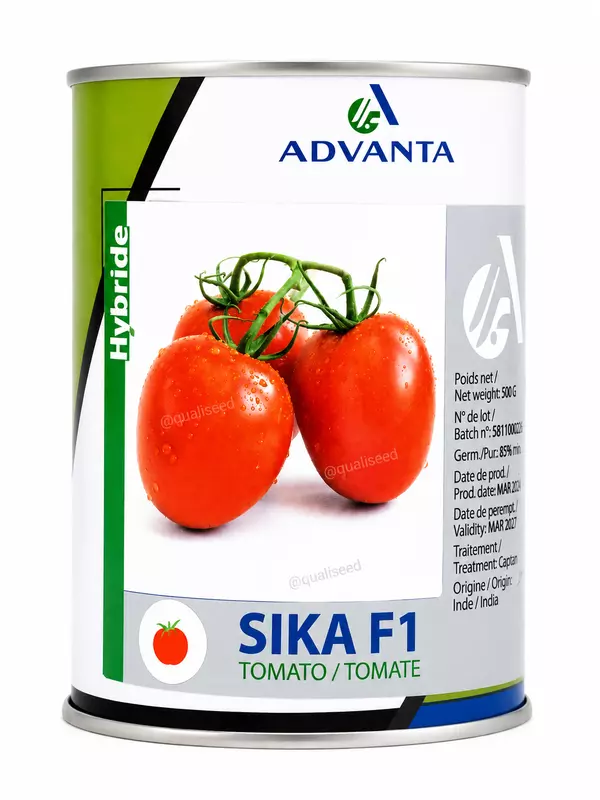TOMATO SIKA F1