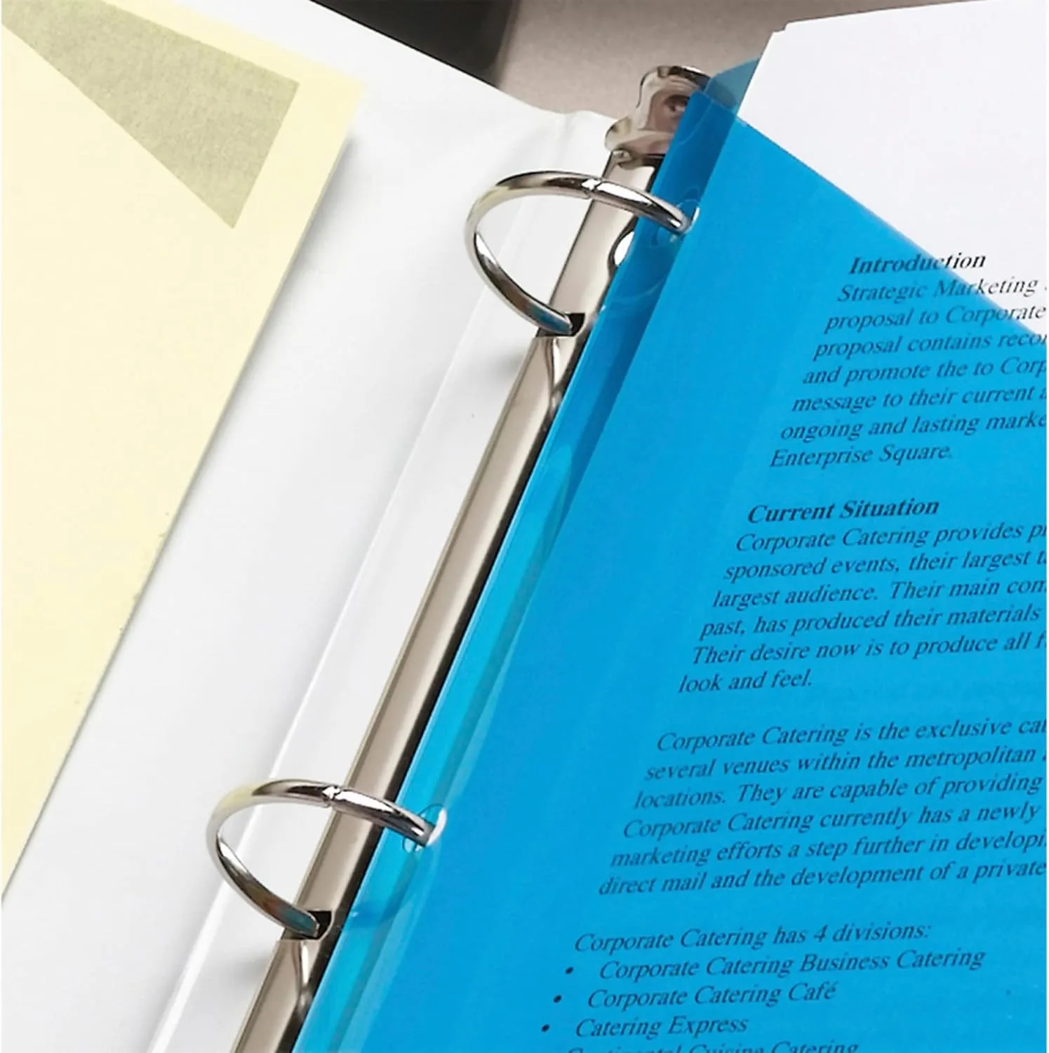 SMEAD Poly Translucent Slash File Jackets, Letter Size, 3-Hole Punched, Pack of 5