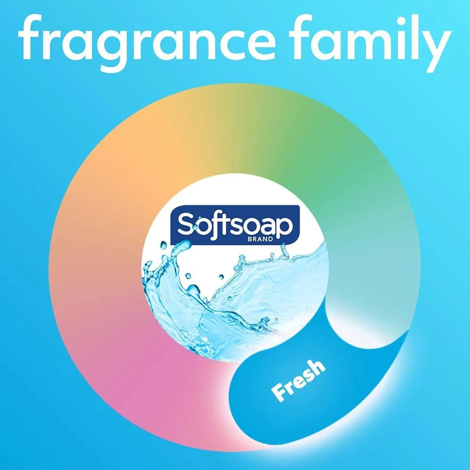 Softsoap Antibacterial Liquid Hand Soap Pump - 11.25 fl. oz. Bottle Citrus 1 Count (Pack of 1)