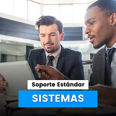 Soporte de Sistemas - Estándar Soporte de Sistemas - Estándar