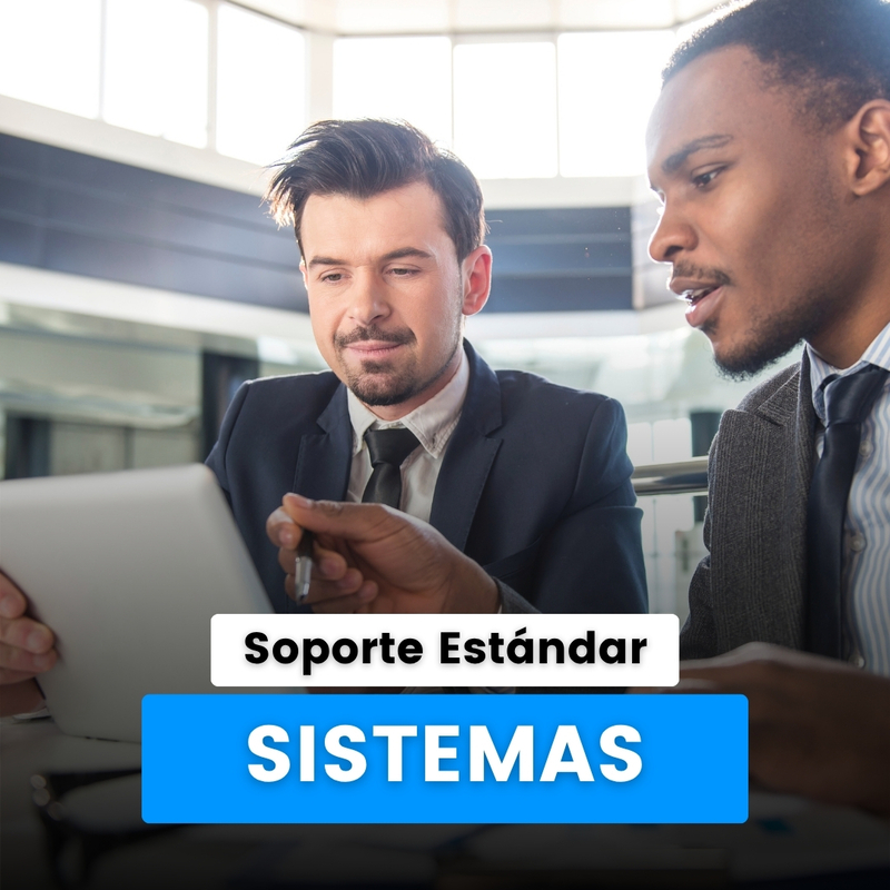 Soporte de Sistemas - Estándar
