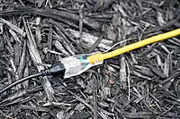 Southwire Polar/Solar Light Duty Extension Cord, 25Ft, 16 Gauge, 3 Conductor, Lighted Ends, SJEOW, Yellow, 1287SW0002