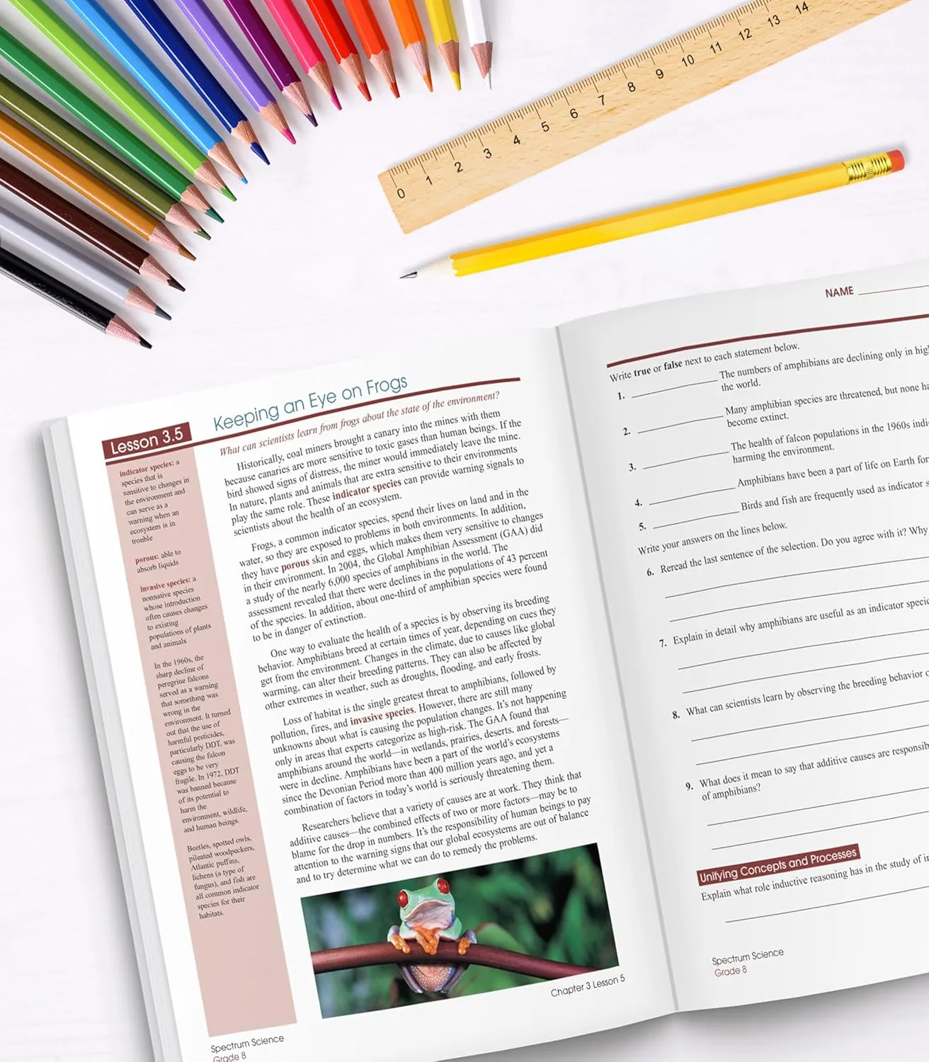 Spectrum 8th Grade Science Workbooks, Ages 13 to 14, Grade 8 Science, Natural, Earth, and Life Science