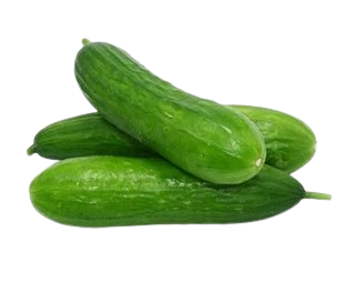Cucumber