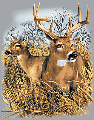 Field Deer Sand T-Shirt