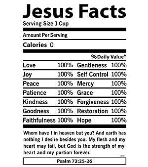 Jesus Facts T-Shirt – Christian Nutrition Label Faith Tee