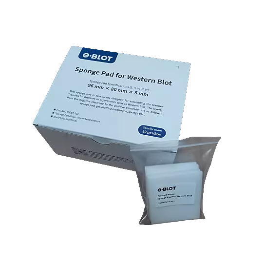EZ BLOT Transfer Sponges Box