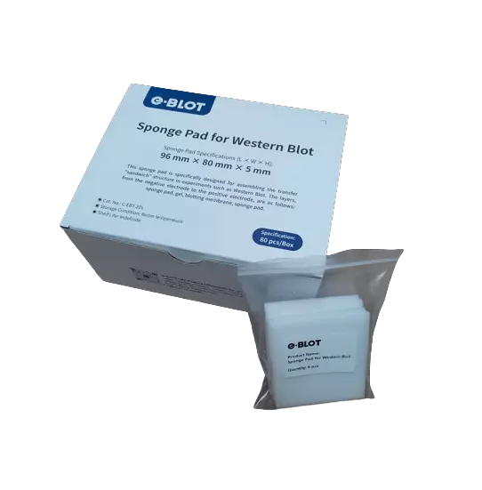 EZ BLOT Transfer Sponges Box