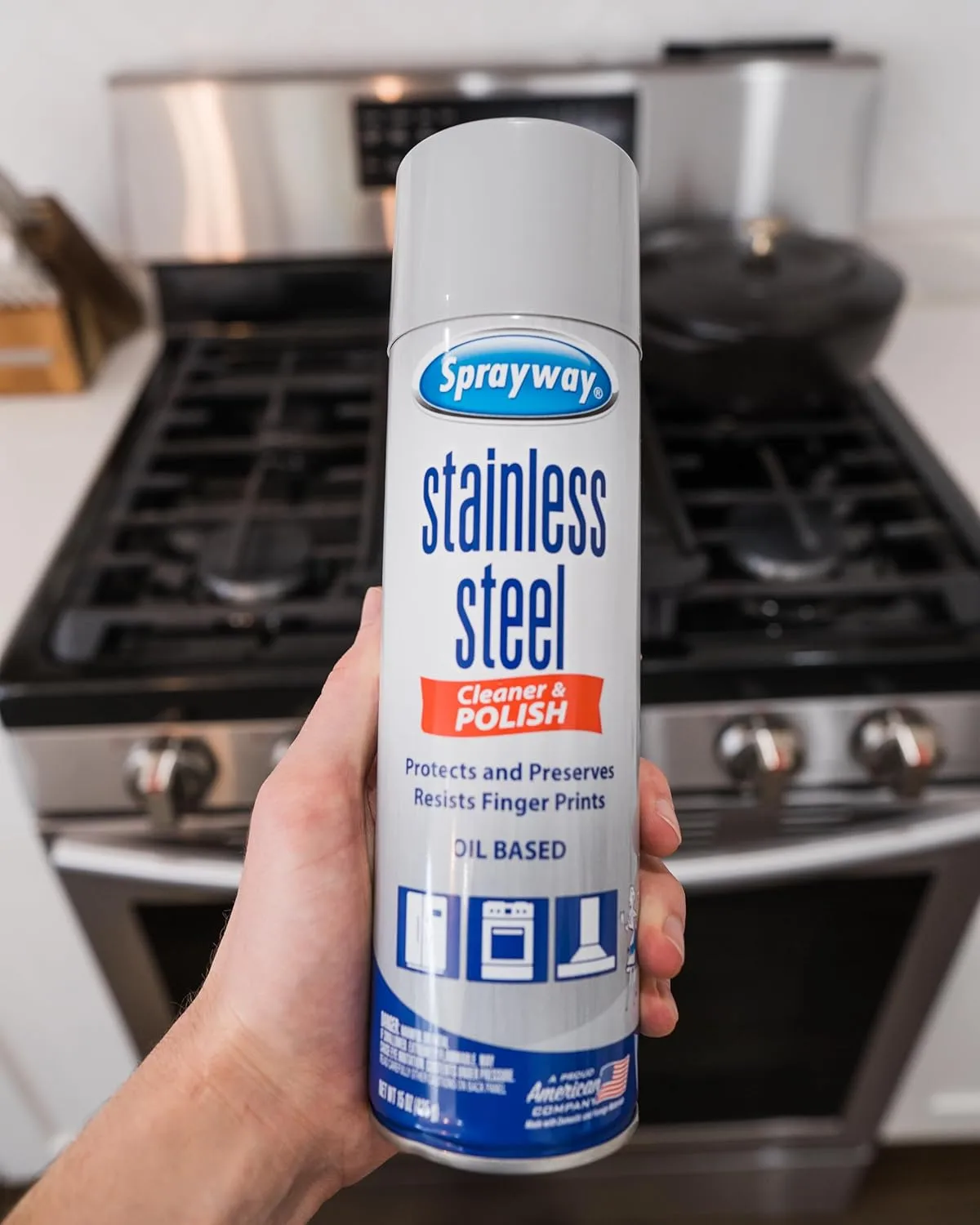 Sprayway SW841R Oil-based Stainless Steel Cleaner and Polish, 15 Oz.