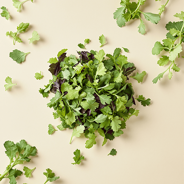 Spring Mix / Mezcla De Primavera | Per Container