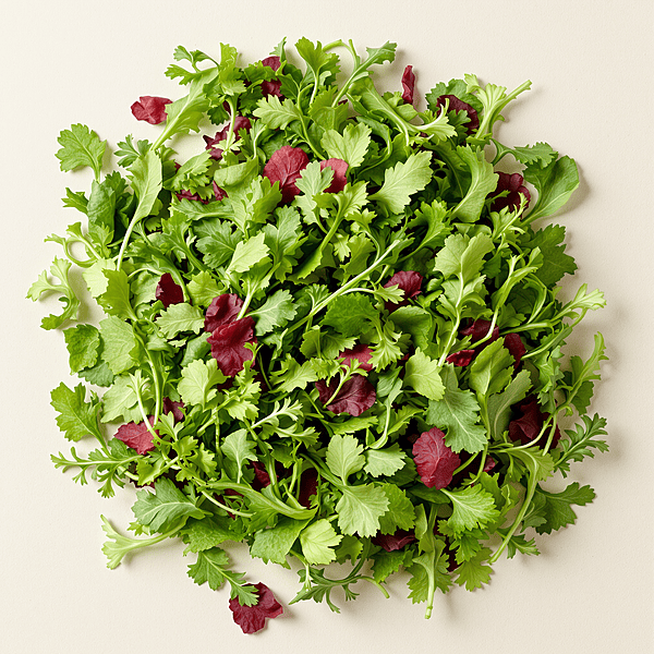 Spring Mix / Mezcla De Primavera | Per Lb