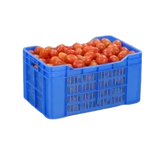 Tomatoes-1kg