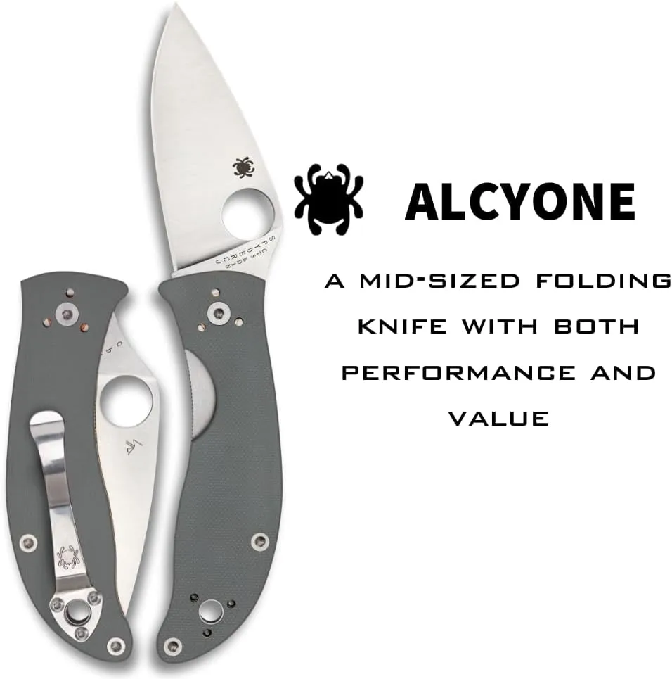 SPYDERCO Value Folding Utility Knife with CTS BD1 Stainless Steel Blade and Gray G-10 Handle, PlainEdge