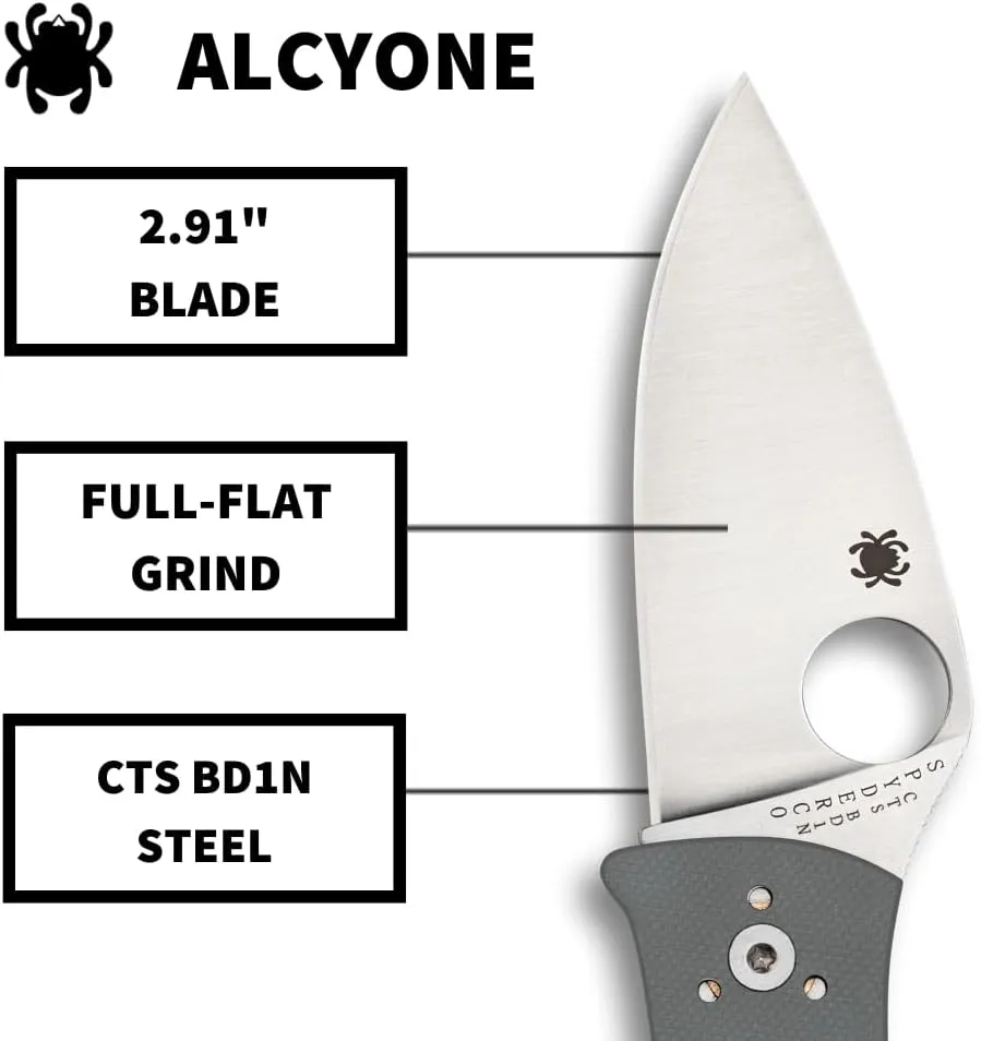 SPYDERCO Value Folding Utility Knife with CTS BD1 Stainless Steel Blade and Gray G-10 Handle, PlainEdge