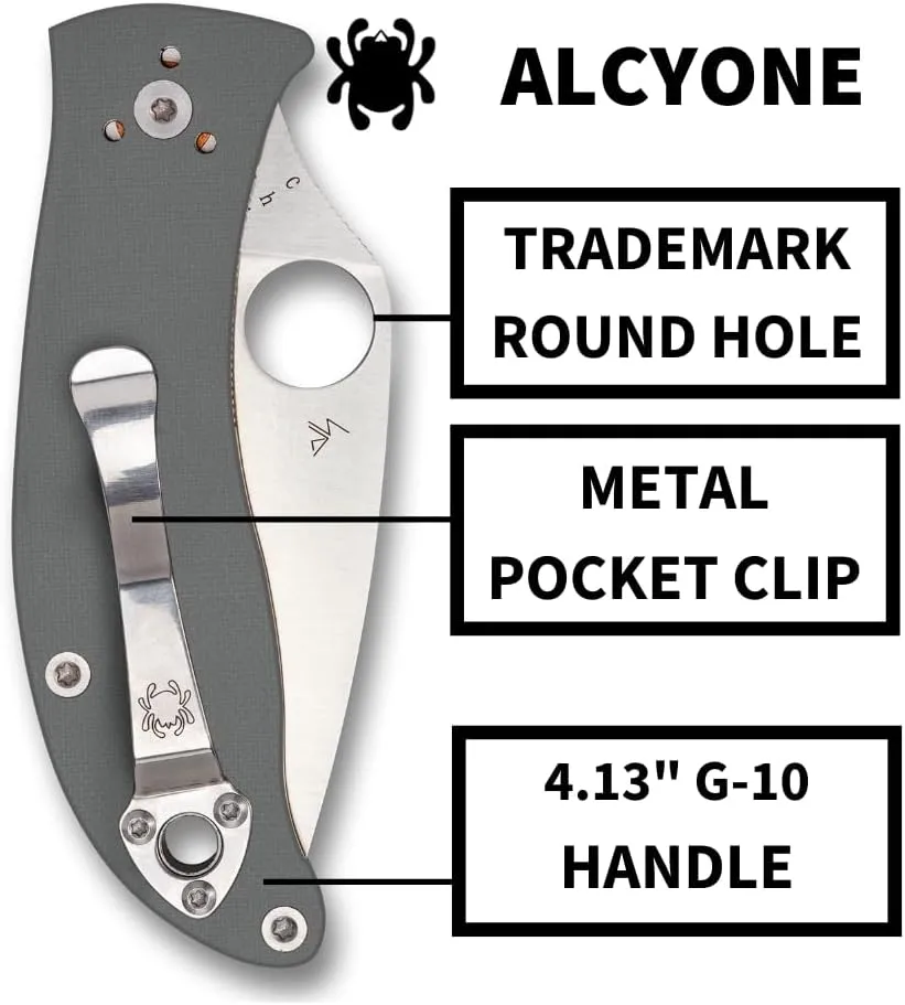 SPYDERCO Value Folding Utility Knife with CTS BD1 Stainless Steel Blade and Gray G-10 Handle, PlainEdge