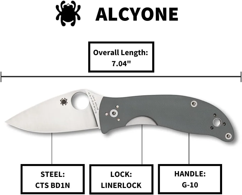 SPYDERCO Value Folding Utility Knife with CTS BD1 Stainless Steel Blade and Gray G-10 Handle, PlainEdge