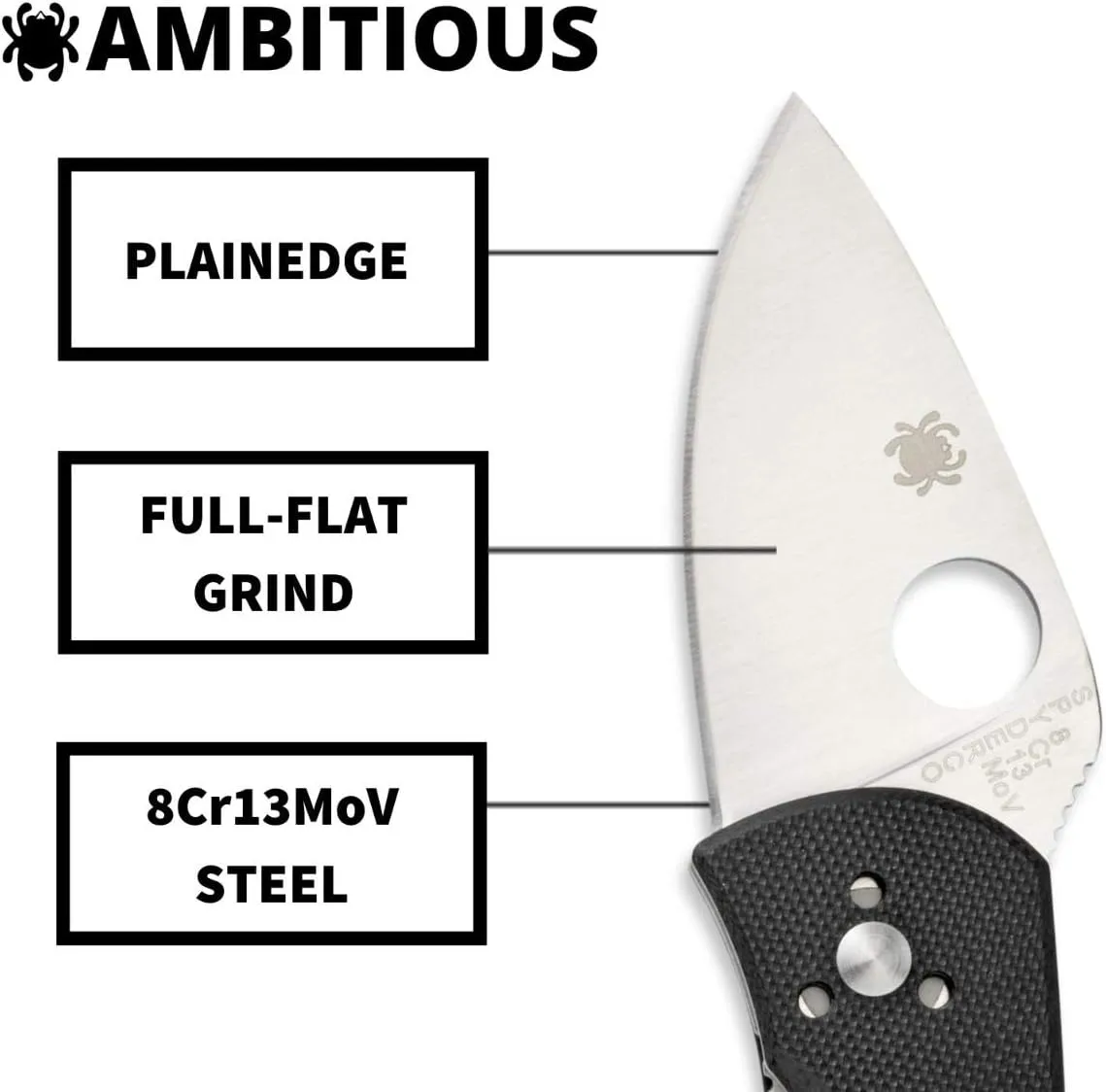 Spyderco Ambitious Value Knife with 2.31" Stainless Steel Blade and Durable Black G-10 Handle - PlainEdge - C148GP
