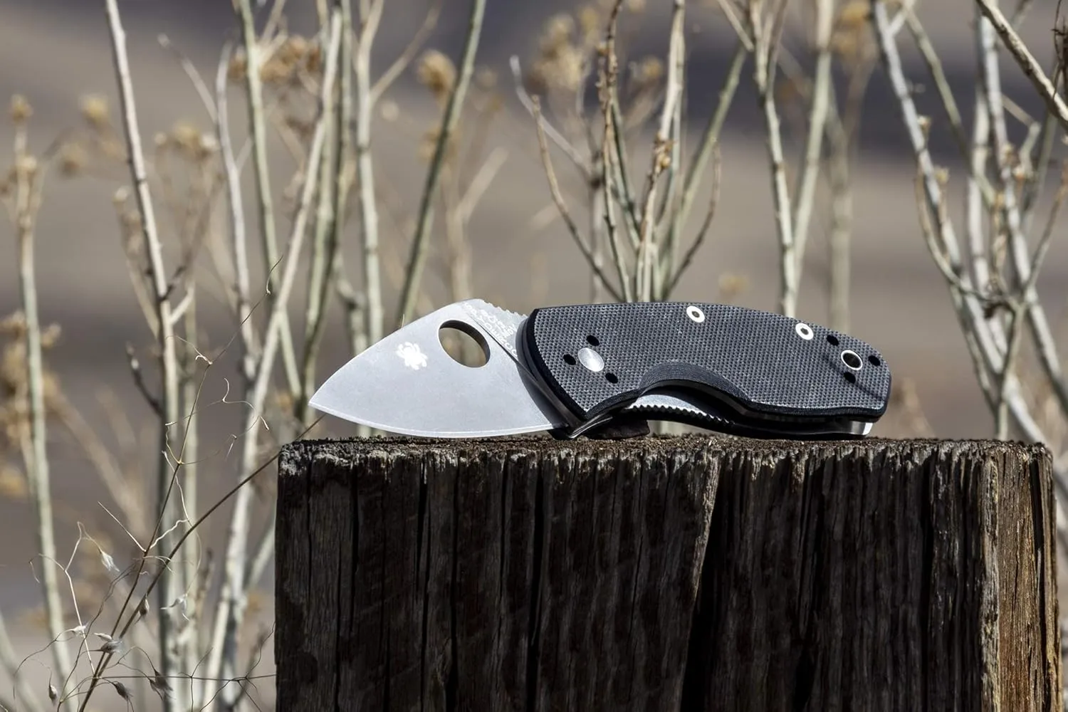 Spyderco Ambitious Value Knife with 2.31" Stainless Steel Blade and Durable Black G-10 Handle - PlainEdge - C148GP