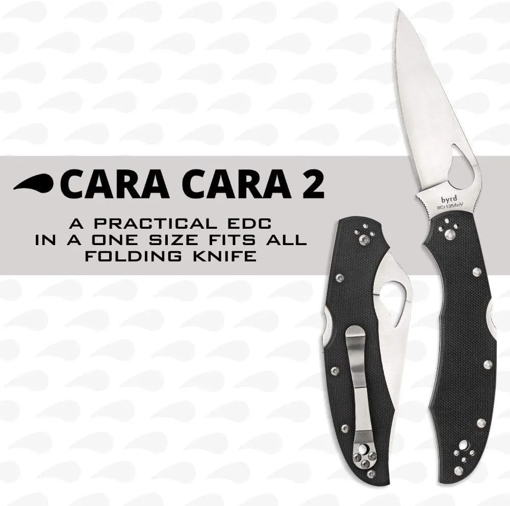 SPYDERCO Byrd Folding Knife - G-10 Handle, 8Cr13MoV