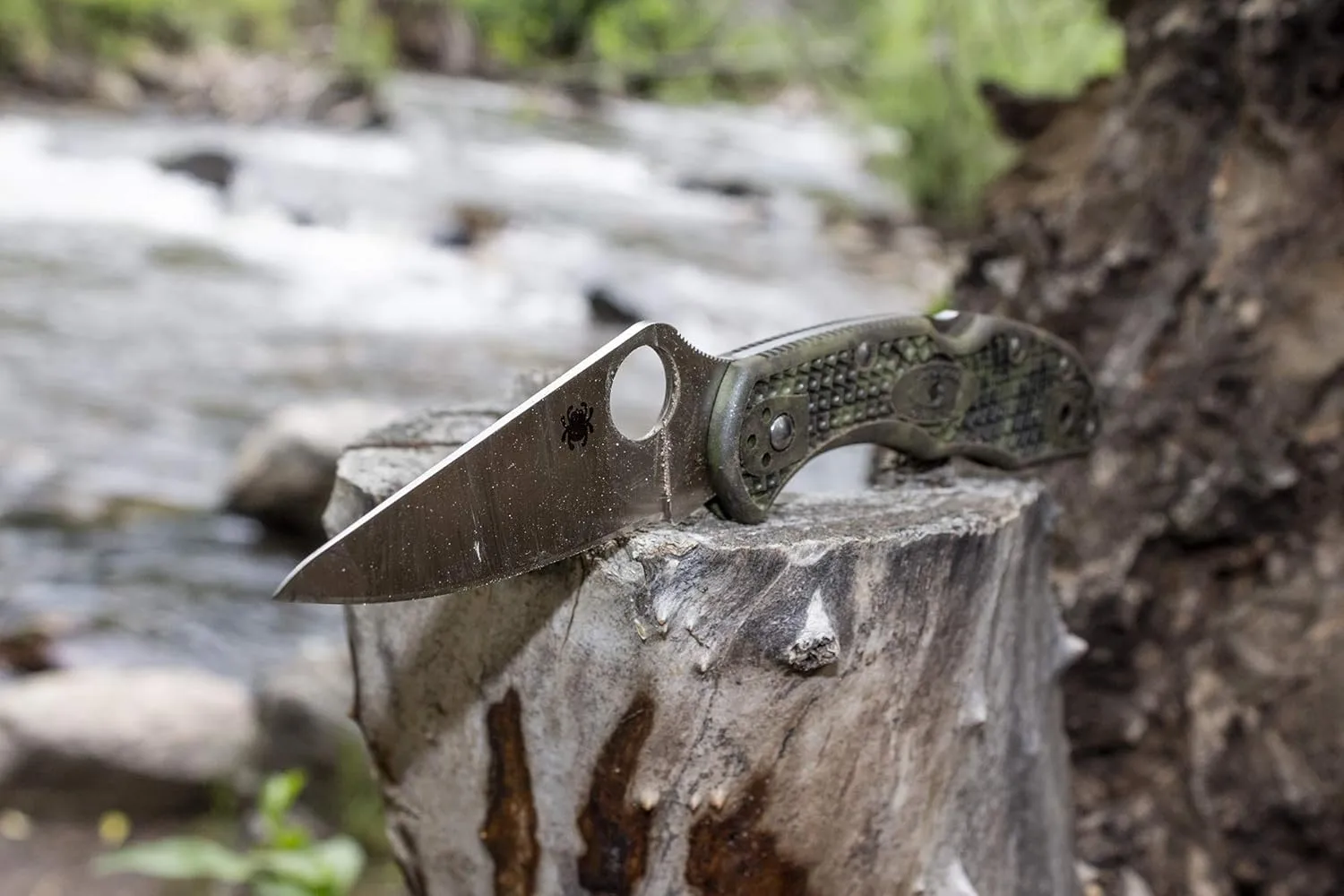 SPYDERCO Delica 4 Lightweight Signature Folding Knife with Flat-Ground VG-10 Blade and FRN Handle