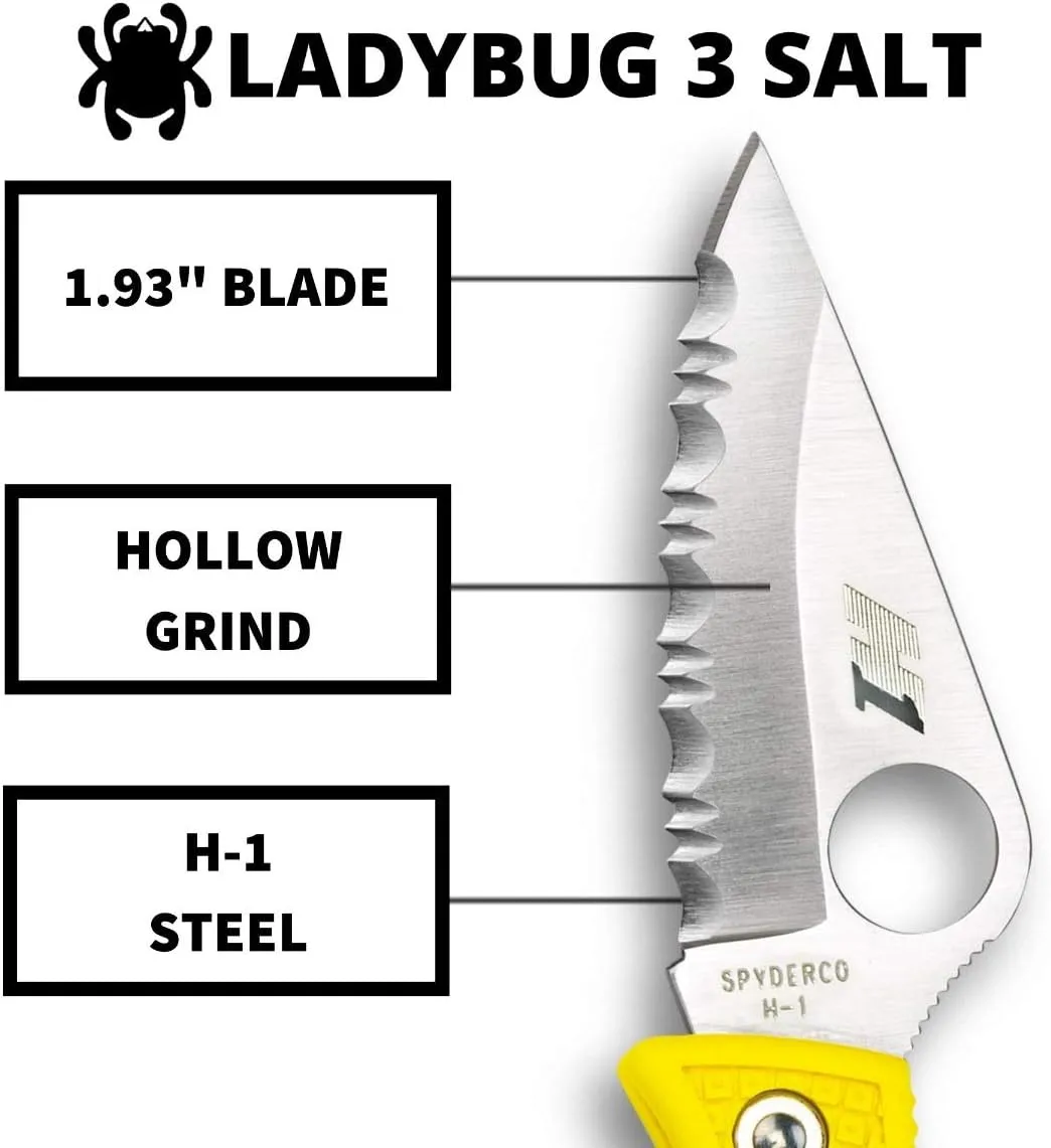 Spyderco Ladybug 3 Lightweight Lockback Folding Knife