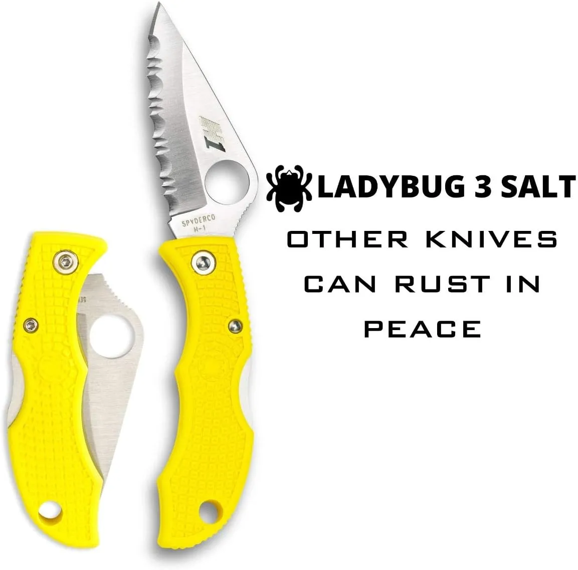 Spyderco Ladybug 3 Lightweight Lockback Folding Knife