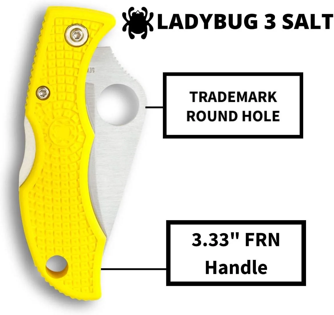 Spyderco Ladybug 3 Lightweight Lockback Folding Knife