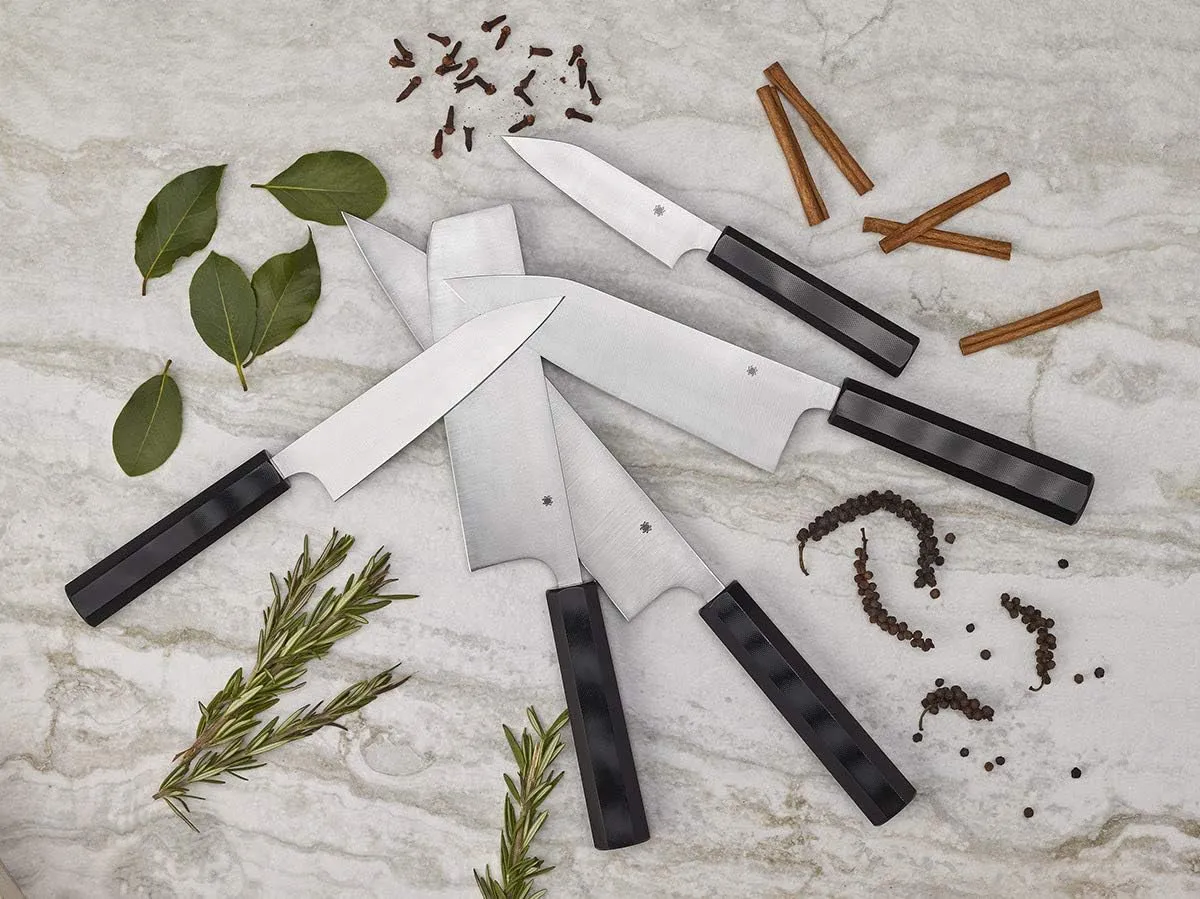 Spyderco Murray Carter Premium Kitchen Knives - Highly Refined Signature Japanese Knives for Culinary Professionals